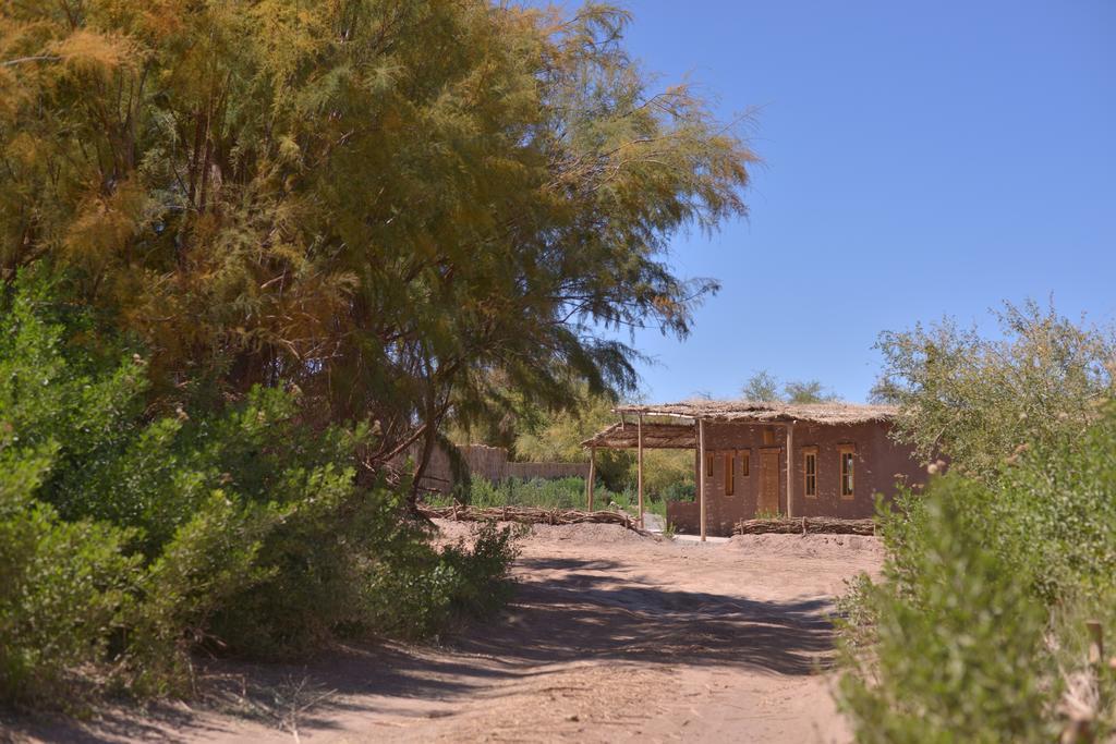 סן פדרו דה אטקאמה Casas Valle De La Luna מראה חיצוני תמונה